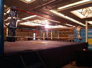 Shonena has a very bright future- Tobias