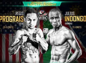 Indongo suffers knock-out defeat in comeback fight