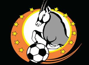 NPL transfer window to close next week