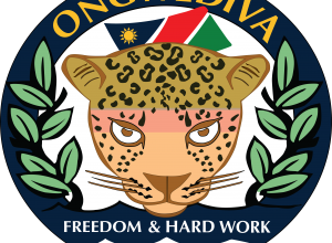 Ongwediva Town Council donates sports equipment 