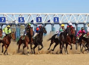 Horse racing marks its return to the turf at Okahandja