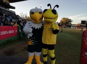 WAP to meet Gymnasium in schools Rugby final