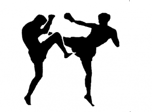 Kick boxing recognised as Namibian sport code