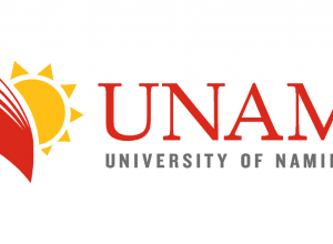 UNAM becomes dominant force in local sports