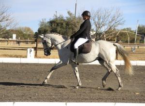 World Dressage Challenge