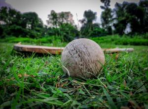 The Eagles Returns After Scotland Series.