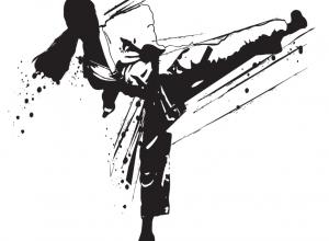 Omaheke hosts Karate Zen national championships